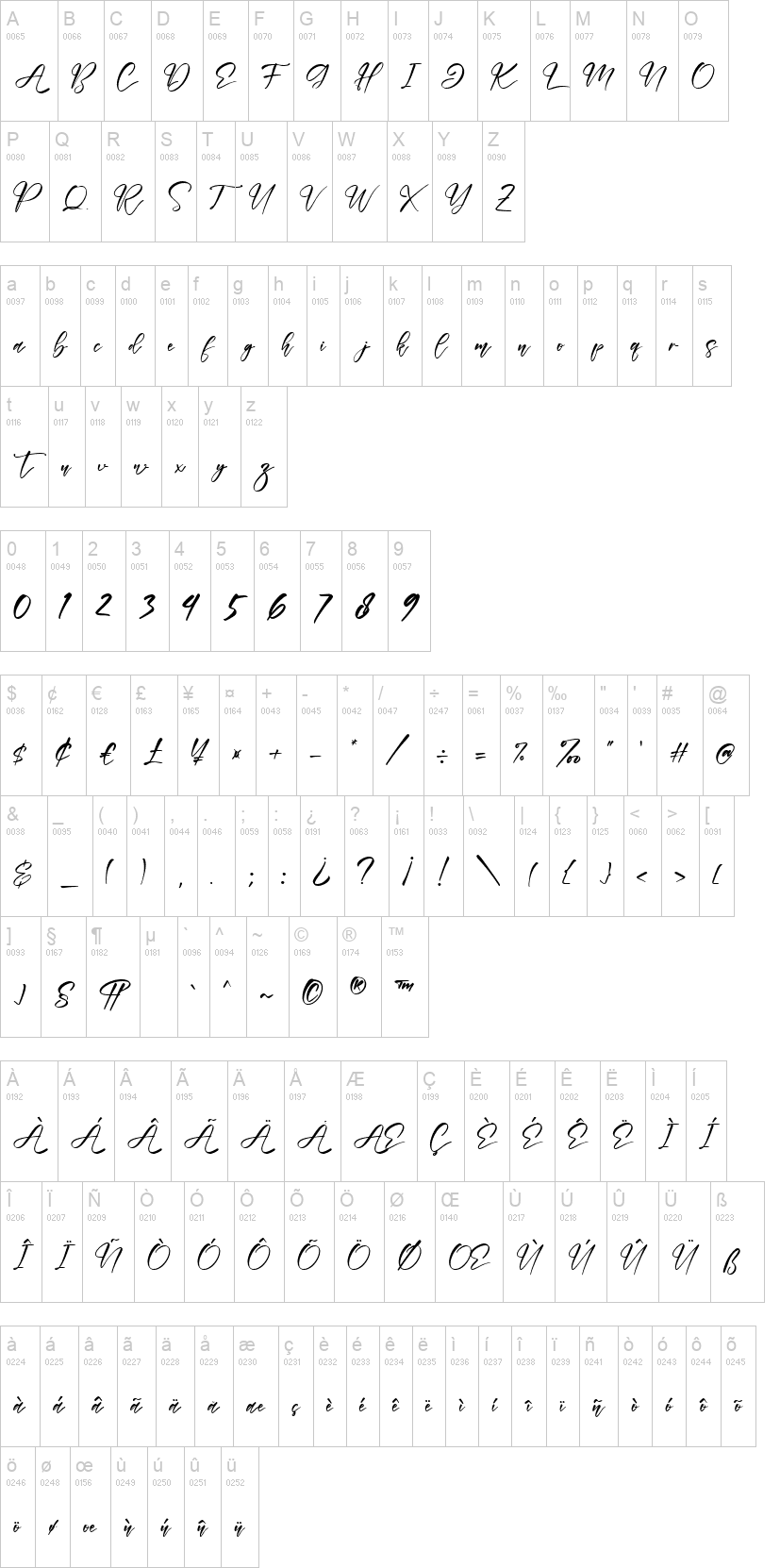 Tabernae Montana Script