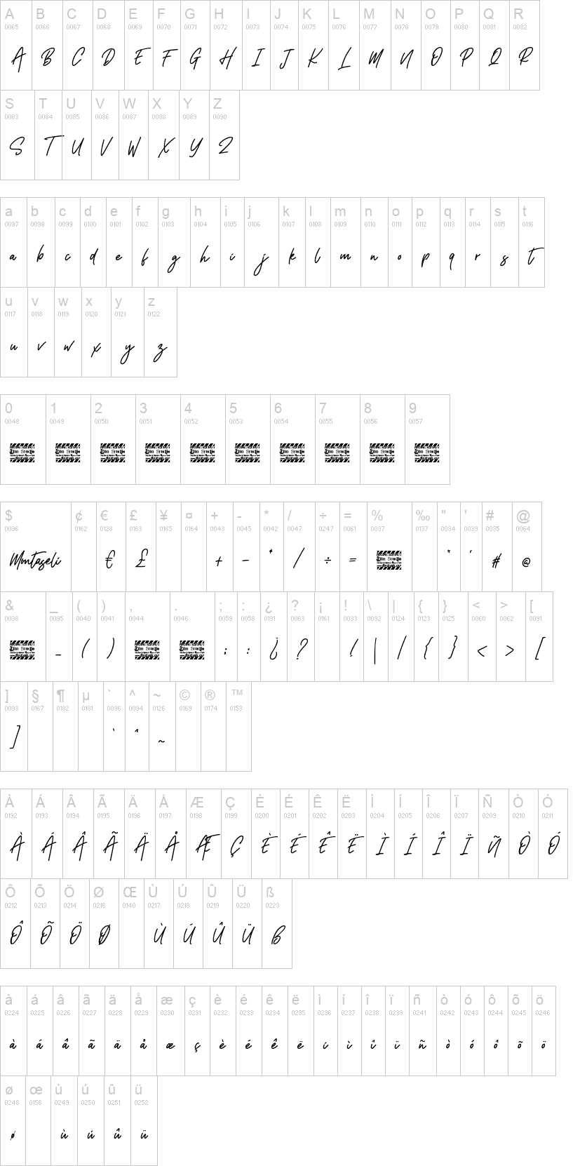 Montaseli Script