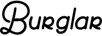 Burglar