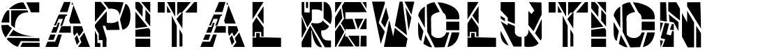 Capital Revolution