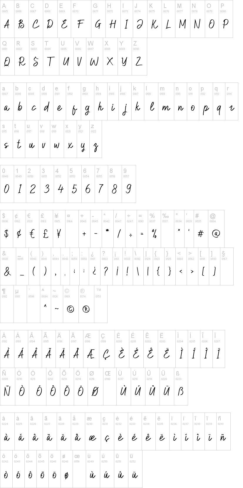 Hilburg Script
