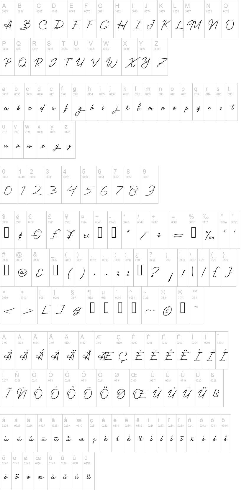 Photographer Script