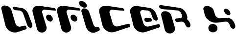 Officer X