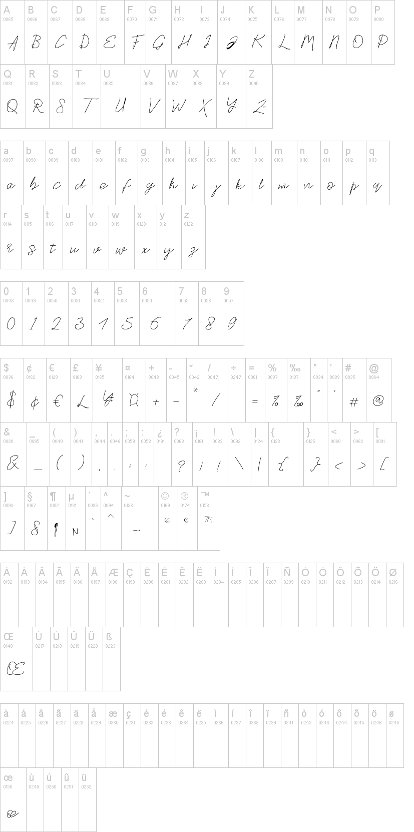 Stylish Script