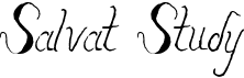 Salvat Study