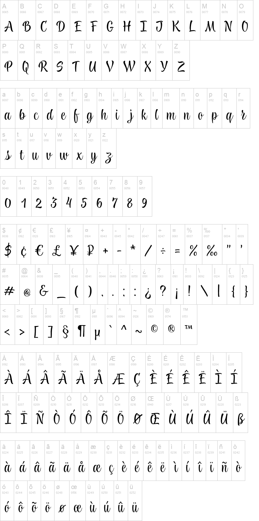 TT Knickerbockers Script