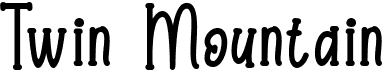 Twin Mountain