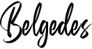 Belgedes